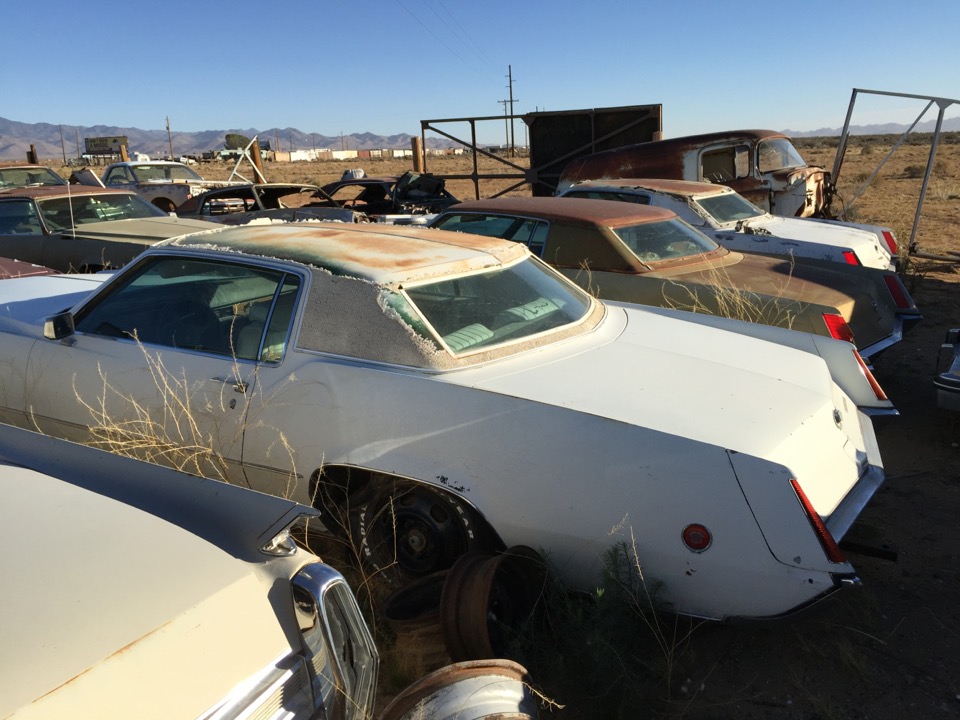 BBSS Dolan Springs Auction