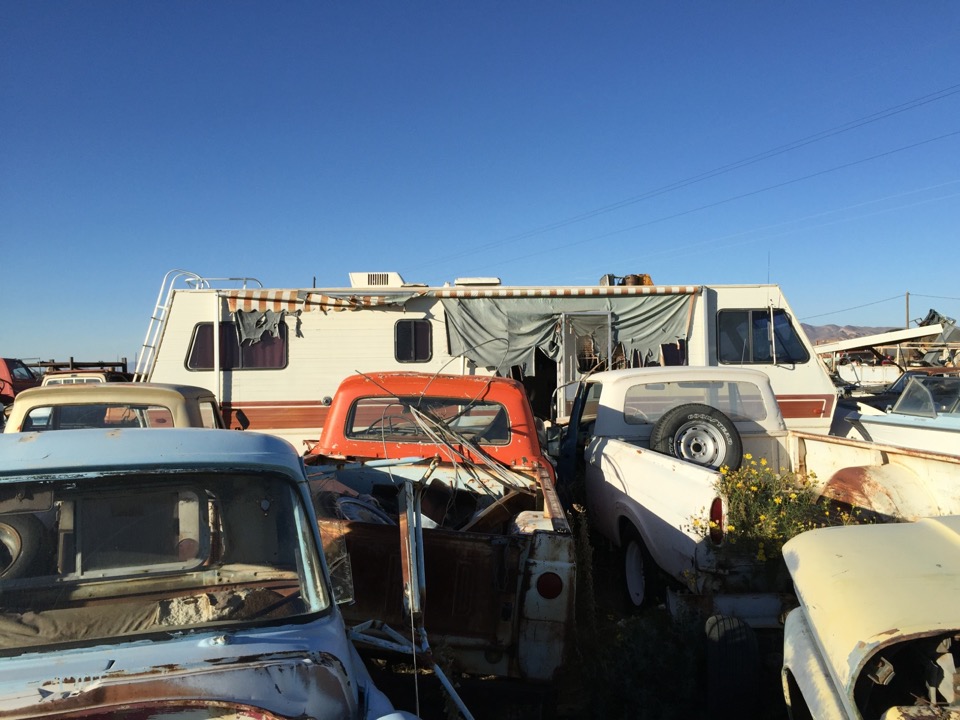 BBSS Dolan Springs Auction