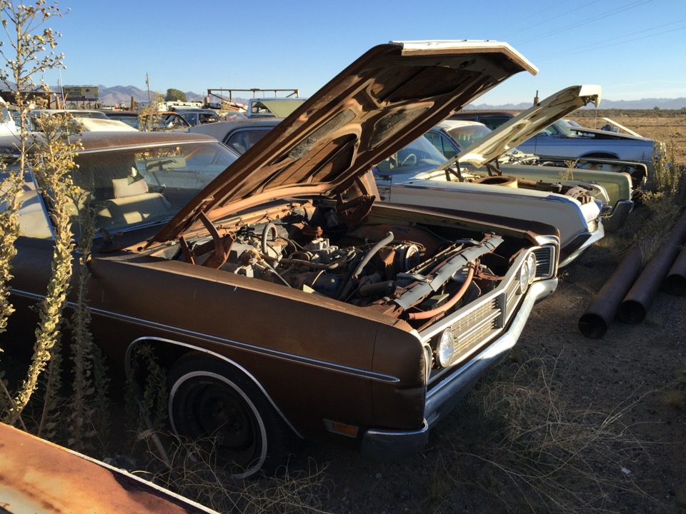 BBSS Dolan Springs Auction