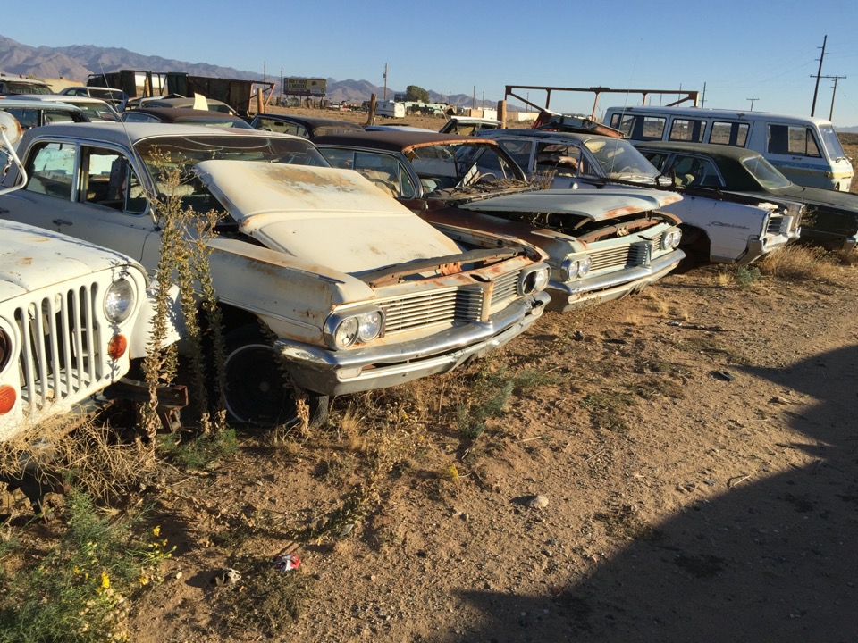 BBSS Dolan Springs Auction