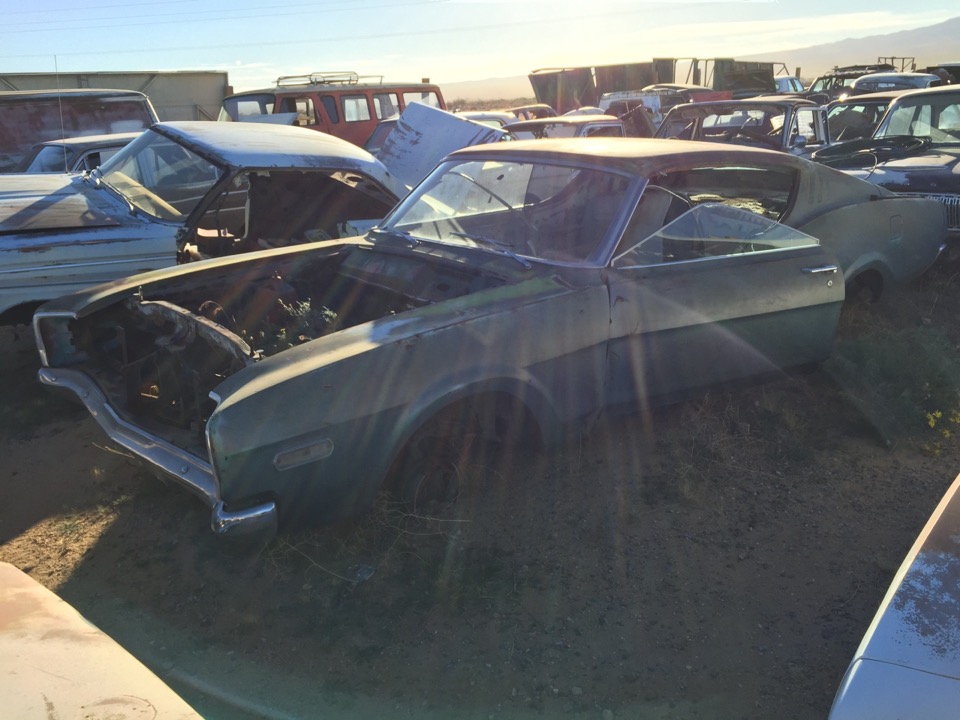 BBSS Dolan Springs Auction