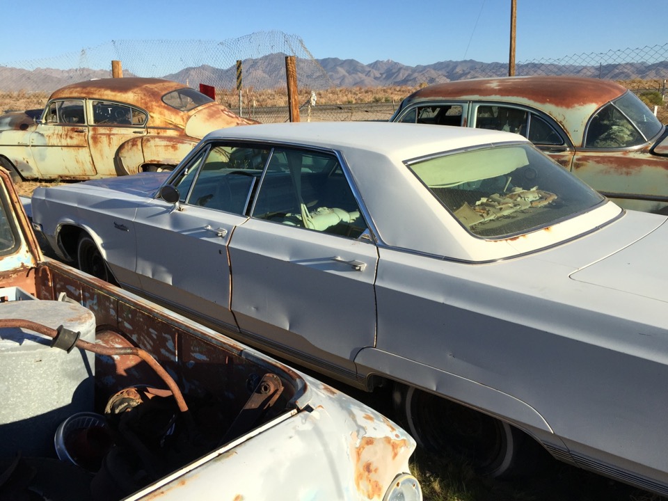 BBSS Dolan Springs Auction