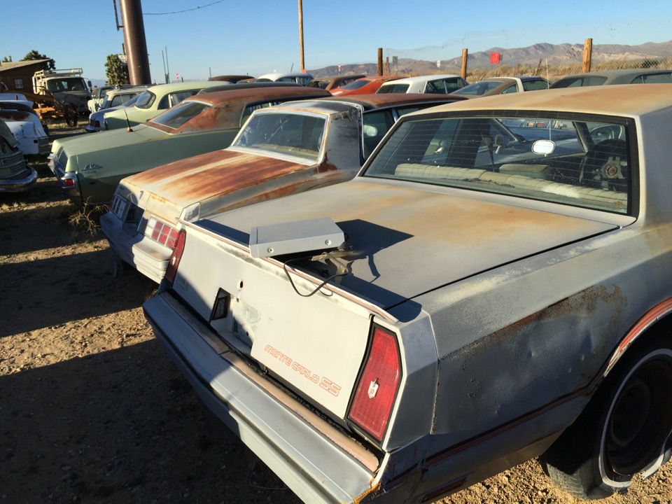 BBSS Dolan Springs Auction