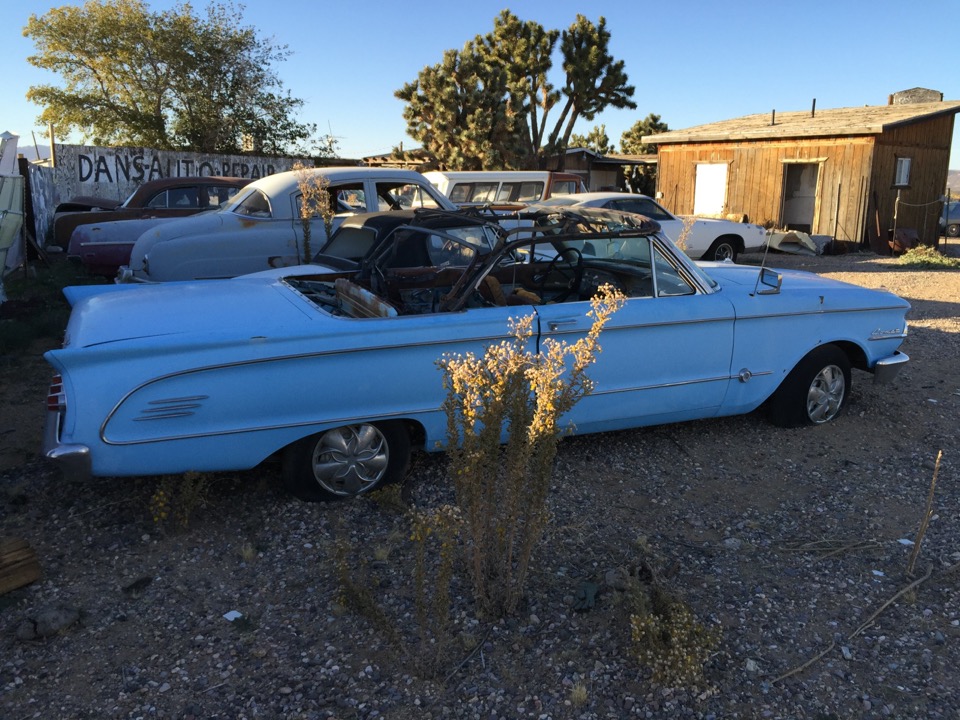 BBSS Dolan Springs Auction