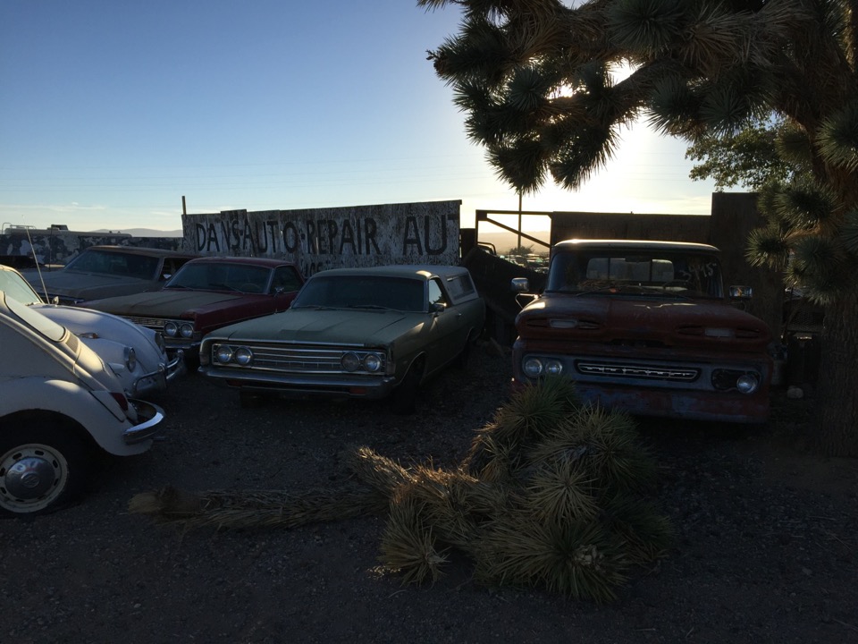 BBSS Dolan Springs Auction